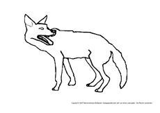 Wolf-3.pdf